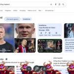 Erling Haaland en Google